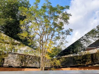 Holocaust Namenmonument foto: Bloom