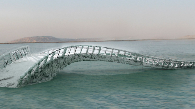 Sigalit Landau Salt Bridge