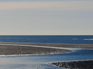 zeezicht strand IJmuiden