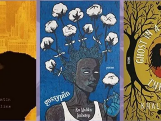 boekkaften met Afro Amerikaanse poetry